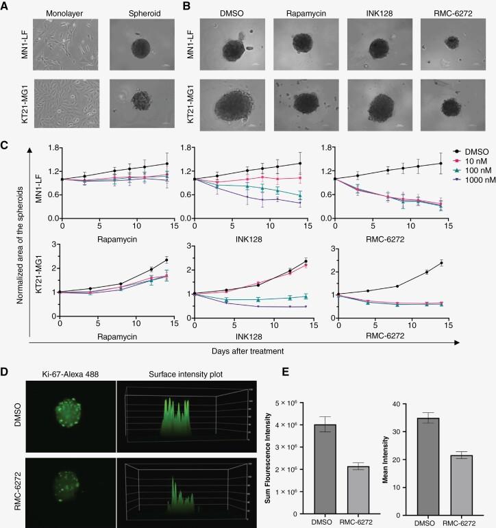 https://cdn.ncbi.nlm.nih.gov/pmc/blobs/0f92/10929445/54470120554f/vdae024_fig5.jpg