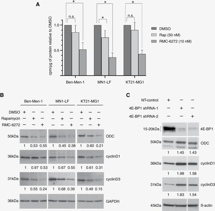 https://cdn.ncbi.nlm.nih.gov/pmc/blobs/0f92/10929445/a6453a761d4a/vdae024_fig4.jpg