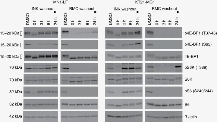 https://cdn.ncbi.nlm.nih.gov/pmc/blobs/0f92/10929445/ed39808735dd/vdae024_fig3.jpg
