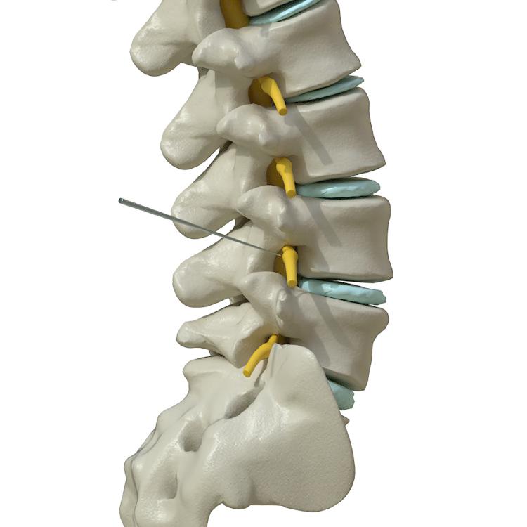 https://cdn.ncbi.nlm.nih.gov/pmc/blobs/0f92/10994338/a0bf7ac54aee/pone.0292042.g002.jpg