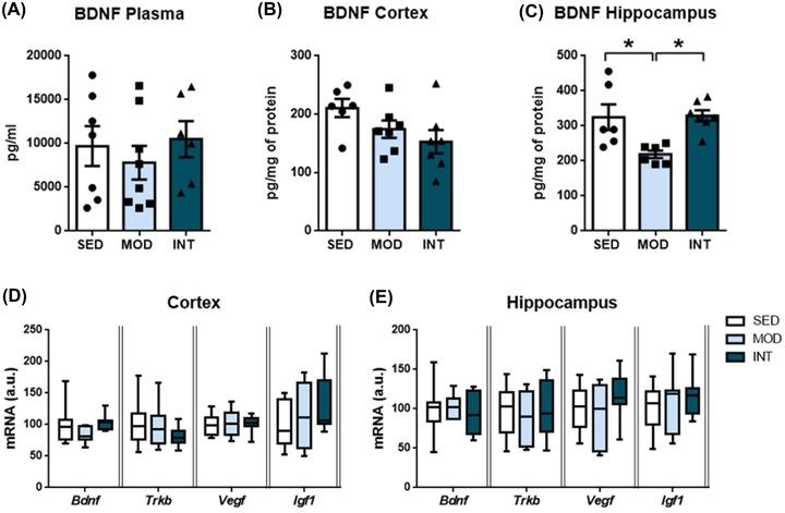 https://cdn.ncbi.nlm.nih.gov/pmc/blobs/0f95/10092505/bae5c43a5460/NYAS-1518-282-g002.jpg