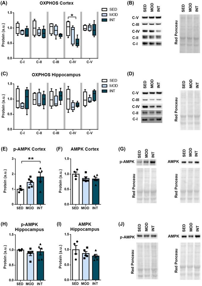 https://cdn.ncbi.nlm.nih.gov/pmc/blobs/0f95/10092505/ef4d6fcdc875/NYAS-1518-282-g008.jpg