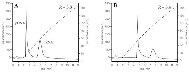https://cdn.ncbi.nlm.nih.gov/pmc/blobs/0f96/10532270/5be35c413257/ijms-24-14267-g004.jpg