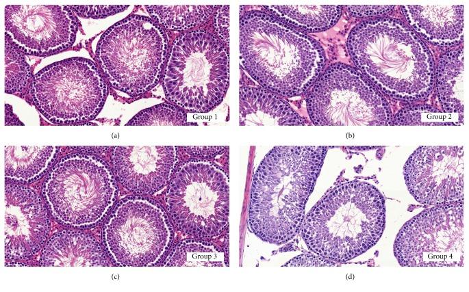 https://cdn.ncbi.nlm.nih.gov/pmc/blobs/0f97/5896334/06f04bda544e/BMRI2018-1801798.004.jpg