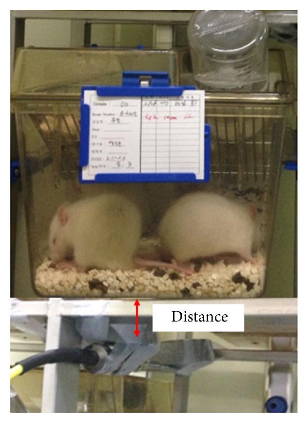 https://cdn.ncbi.nlm.nih.gov/pmc/blobs/0f97/5896334/2e404ca81f24/BMRI2018-1801798.001.jpg