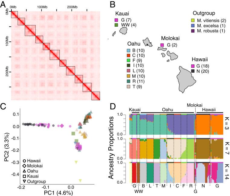 https://cdn.ncbi.nlm.nih.gov/pmc/blobs/0f97/8449318/3113a70866b2/pnas.2023801118fig01.jpg