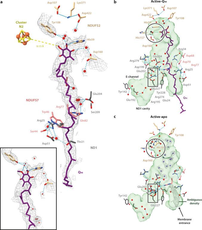 https://cdn.ncbi.nlm.nih.gov/pmc/blobs/0f97/9120487/39dd372b416e/41467_2022_30506_Fig2_HTML.jpg
