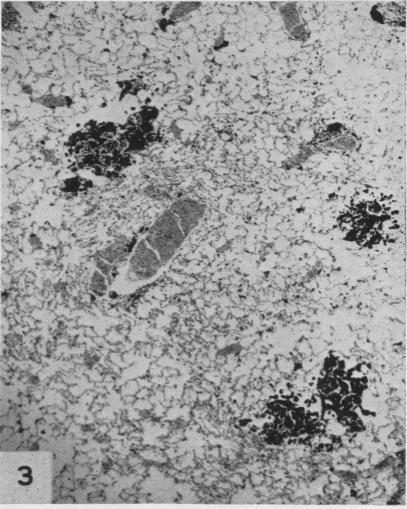 https://cdn.ncbi.nlm.nih.gov/pmc/blobs/0f9b/1037886/544dac084991/brjindmed00215-0037-b.jpg