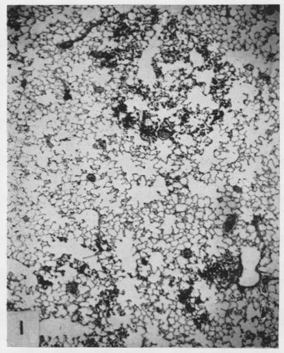 https://cdn.ncbi.nlm.nih.gov/pmc/blobs/0f9b/1037886/55b3e900cfb6/brjindmed00215-0037-a.jpg