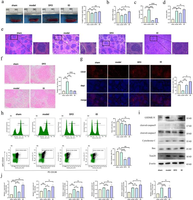 https://cdn.ncbi.nlm.nih.gov/pmc/blobs/0f9e/10362643/4f57fb76750b/12974_2023_2848_Fig7_HTML.jpg