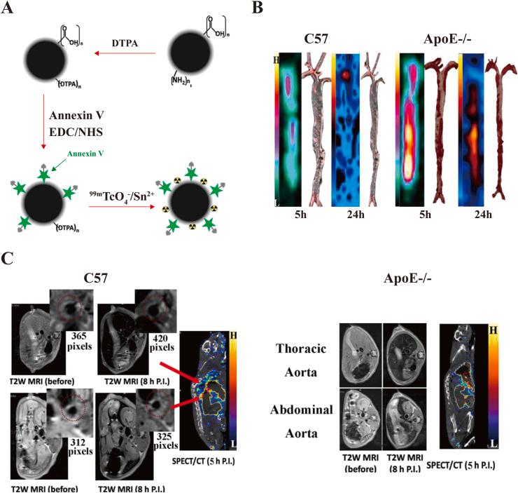 https://cdn.ncbi.nlm.nih.gov/pmc/blobs/0fa0/8943324/44b4faee49c0/gr6.jpg