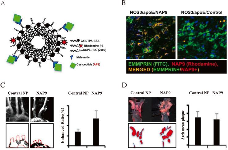 https://cdn.ncbi.nlm.nih.gov/pmc/blobs/0fa0/8943324/6e970712a181/gr4.jpg