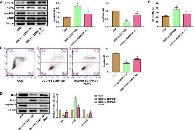 https://cdn.ncbi.nlm.nih.gov/pmc/blobs/0fa1/8925243/3af2de338435/12872_2022_2454_Fig6_HTML.jpg