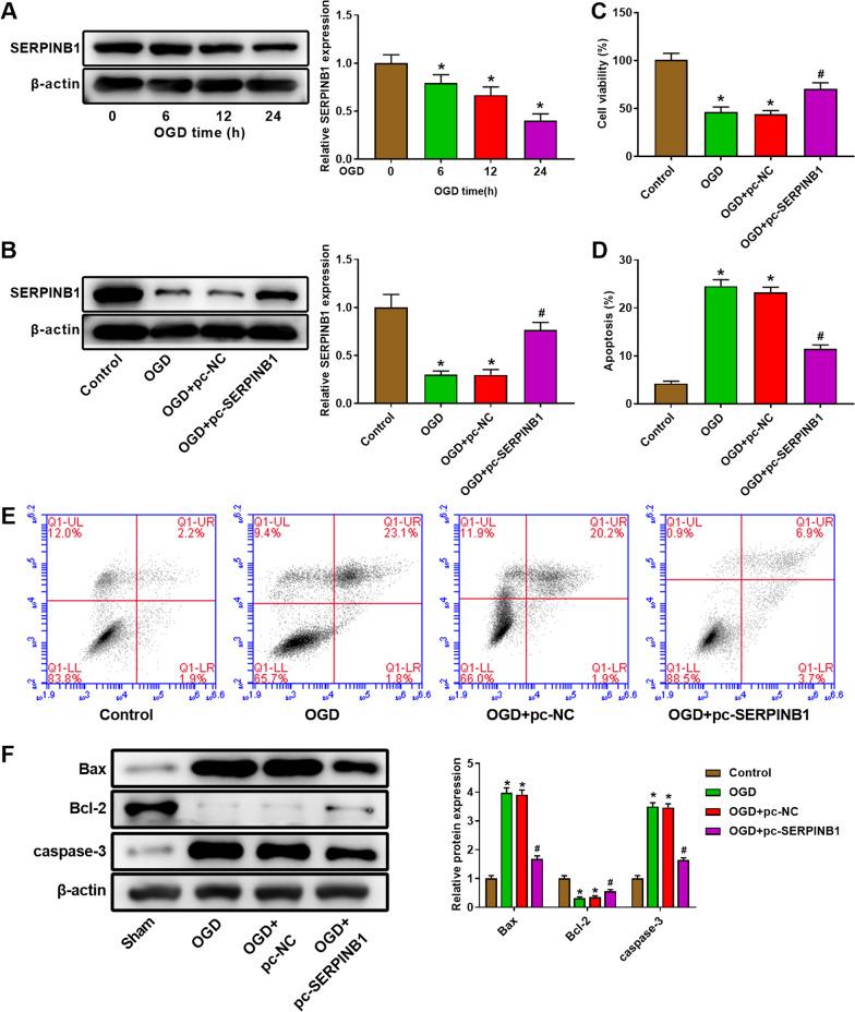 https://cdn.ncbi.nlm.nih.gov/pmc/blobs/0fa1/8925243/d4879012c99d/12872_2022_2454_Fig4_HTML.jpg