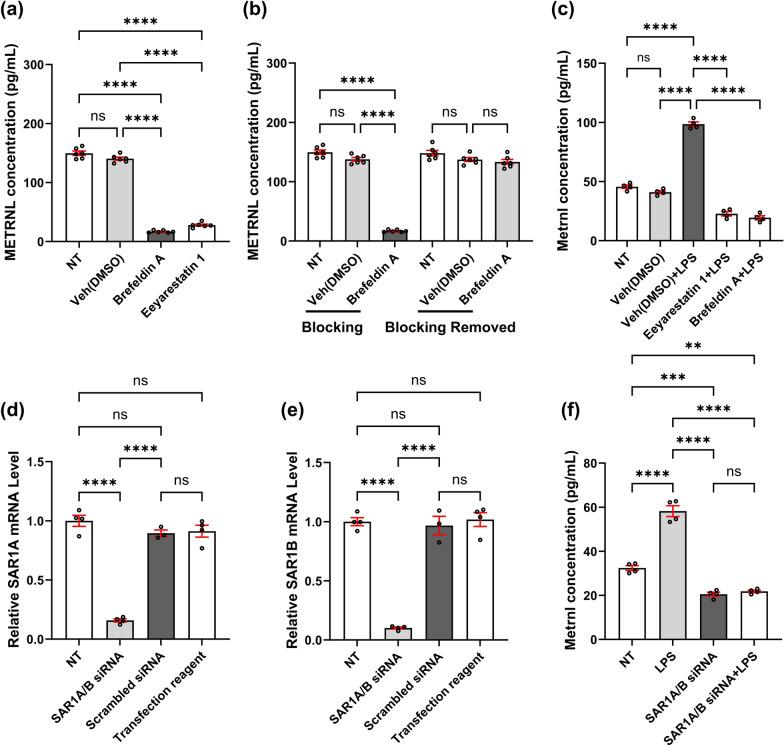 https://cdn.ncbi.nlm.nih.gov/pmc/blobs/0fa2/11983927/071c617436ec/40560_2025_780_Fig5_HTML.jpg