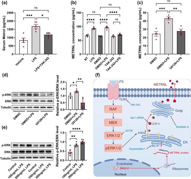 https://cdn.ncbi.nlm.nih.gov/pmc/blobs/0fa2/11983927/20a4c9f889b1/40560_2025_780_Fig6_HTML.jpg