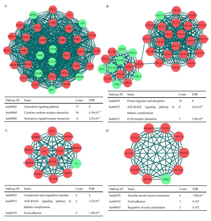 https://cdn.ncbi.nlm.nih.gov/pmc/blobs/0fa2/6131613/ac5f2a1c8a3f/MMR-18-04-3599-g02.jpg
