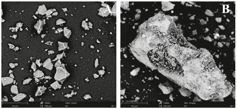 https://cdn.ncbi.nlm.nih.gov/pmc/blobs/0fa4/10383943/e2208519a4c6/toxics-11-00624-g002.jpg