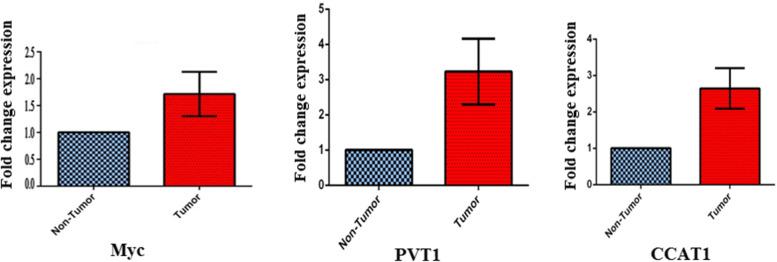 https://cdn.ncbi.nlm.nih.gov/pmc/blobs/0fa4/9830801/0c40fcbdff14/12885_2022_10464_Fig2_HTML.jpg