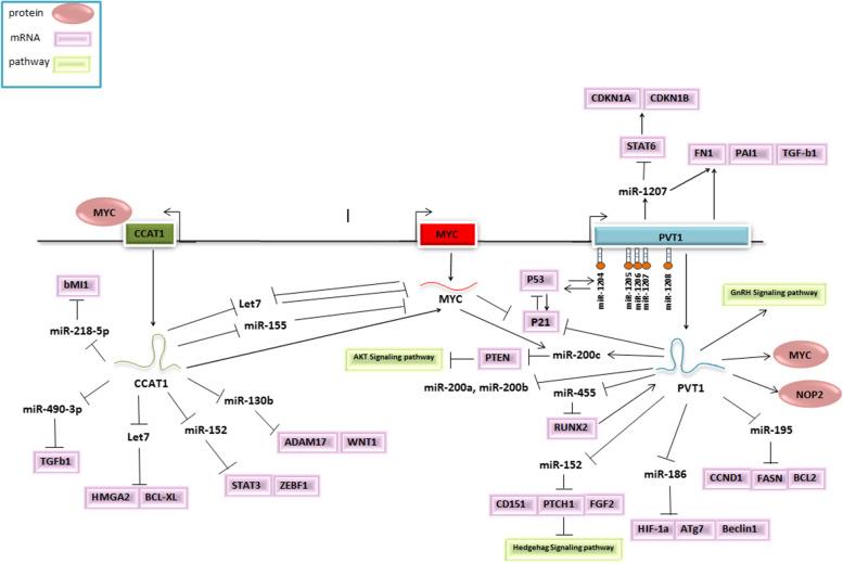 https://cdn.ncbi.nlm.nih.gov/pmc/blobs/0fa4/9830801/0d6ee0eaa7a1/12885_2022_10464_Fig5_HTML.jpg