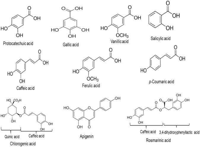 https://cdn.ncbi.nlm.nih.gov/pmc/blobs/0fa5/6405172/1aba14eb0592/pntd.0007206.g001.jpg