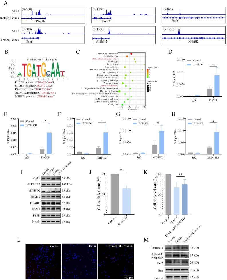 https://cdn.ncbi.nlm.nih.gov/pmc/blobs/0fa6/11379068/6deb30953012/ijbsv20p4277g004.jpg