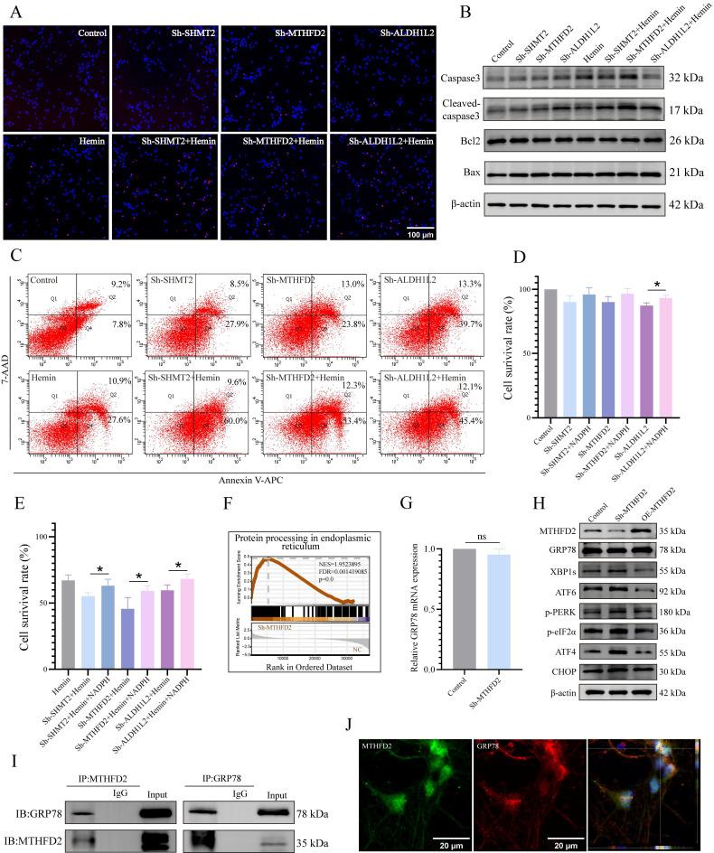 https://cdn.ncbi.nlm.nih.gov/pmc/blobs/0fa6/11379068/c87b6b59aef9/ijbsv20p4277g006.jpg