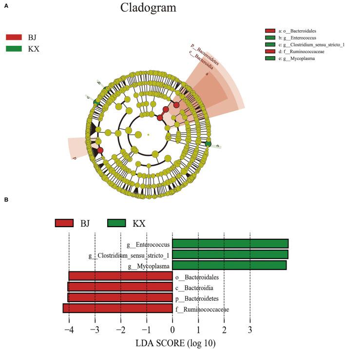 https://cdn.ncbi.nlm.nih.gov/pmc/blobs/0fa6/9018992/da40408760a0/fvets-09-860540-g0006.jpg