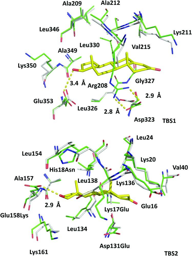 https://cdn.ncbi.nlm.nih.gov/pmc/blobs/0fa7/6371759/13619d2cc596/c8sc04397c-f4.jpg