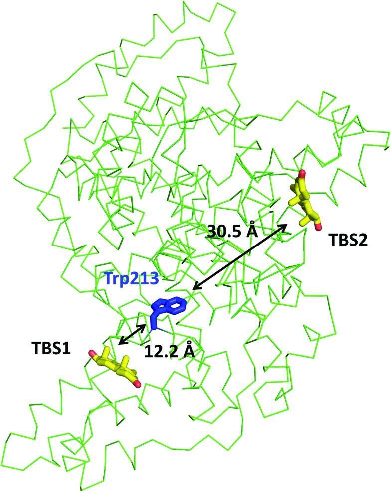 https://cdn.ncbi.nlm.nih.gov/pmc/blobs/0fa7/6371759/31af7c920437/c8sc04397c-f1.jpg