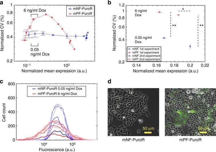 https://cdn.ncbi.nlm.nih.gov/pmc/blobs/0fa9/6591227/58c0fcc4efab/41467_2019_10330_Fig4_HTML.jpg