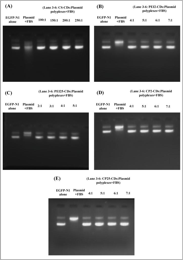 https://cdn.ncbi.nlm.nih.gov/pmc/blobs/0fac/10682126/56ea363cfe48/gr4.jpg