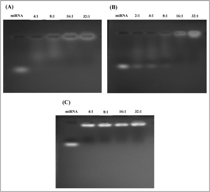 https://cdn.ncbi.nlm.nih.gov/pmc/blobs/0fac/10682126/a5479626b826/gr7.jpg
