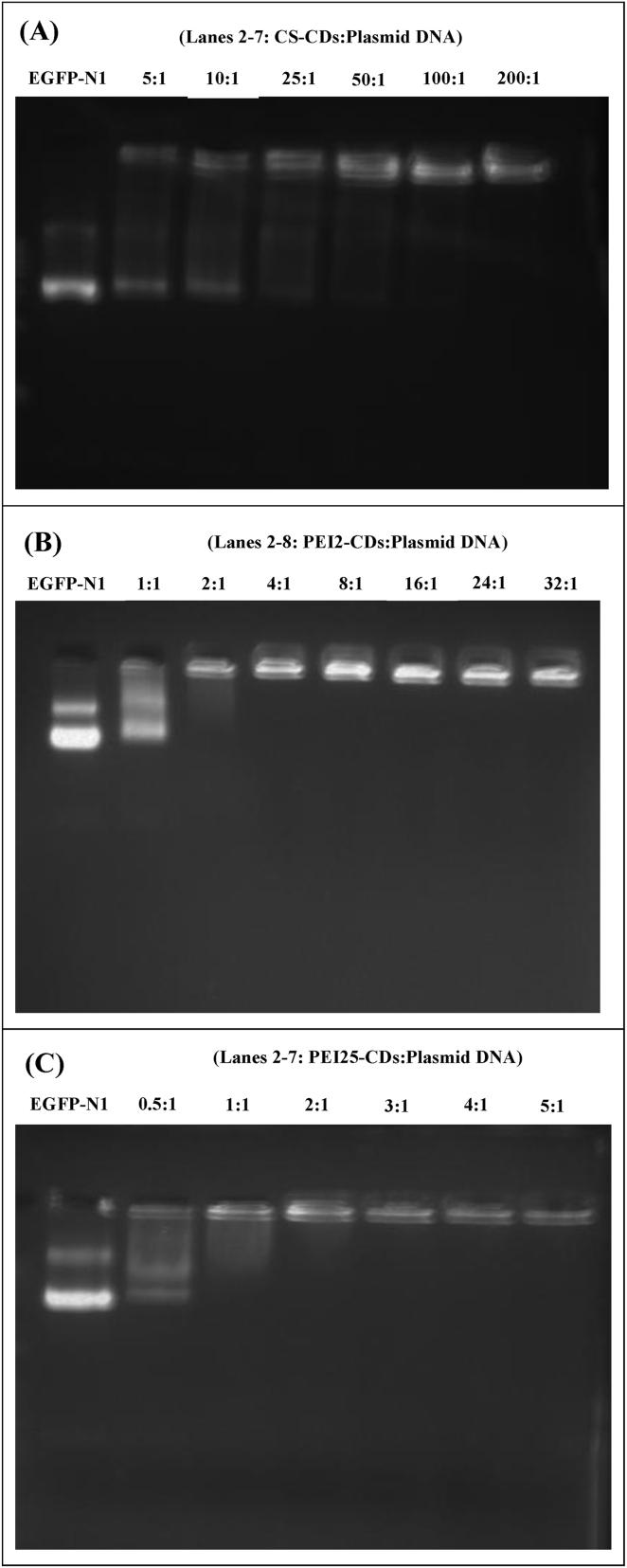 https://cdn.ncbi.nlm.nih.gov/pmc/blobs/0fac/10682126/c1d16439f1a4/gr2a.jpg