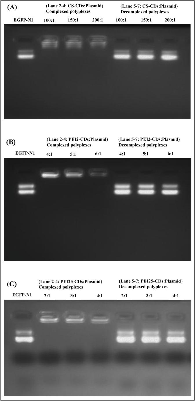 https://cdn.ncbi.nlm.nih.gov/pmc/blobs/0fac/10682126/fe4586aac15a/gr3a.jpg