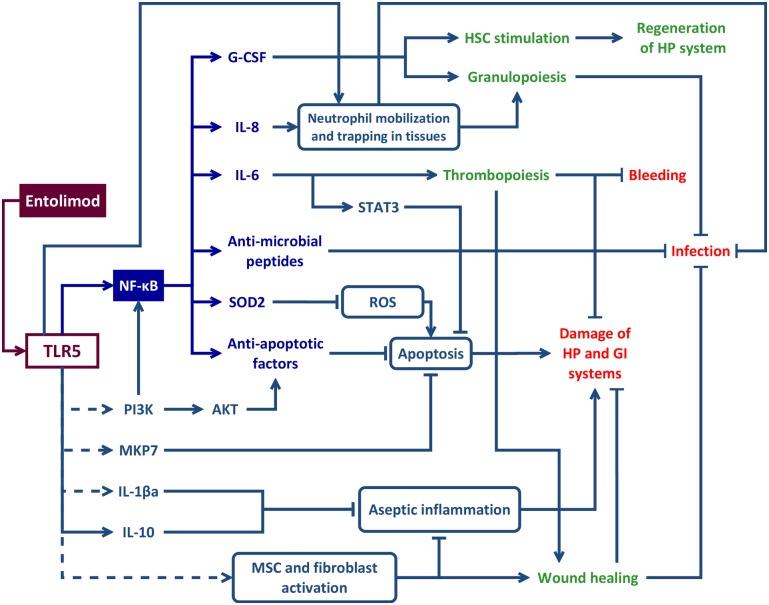 https://cdn.ncbi.nlm.nih.gov/pmc/blobs/0fad/4569586/3a512bd987b2/pone.0135388.g006.jpg