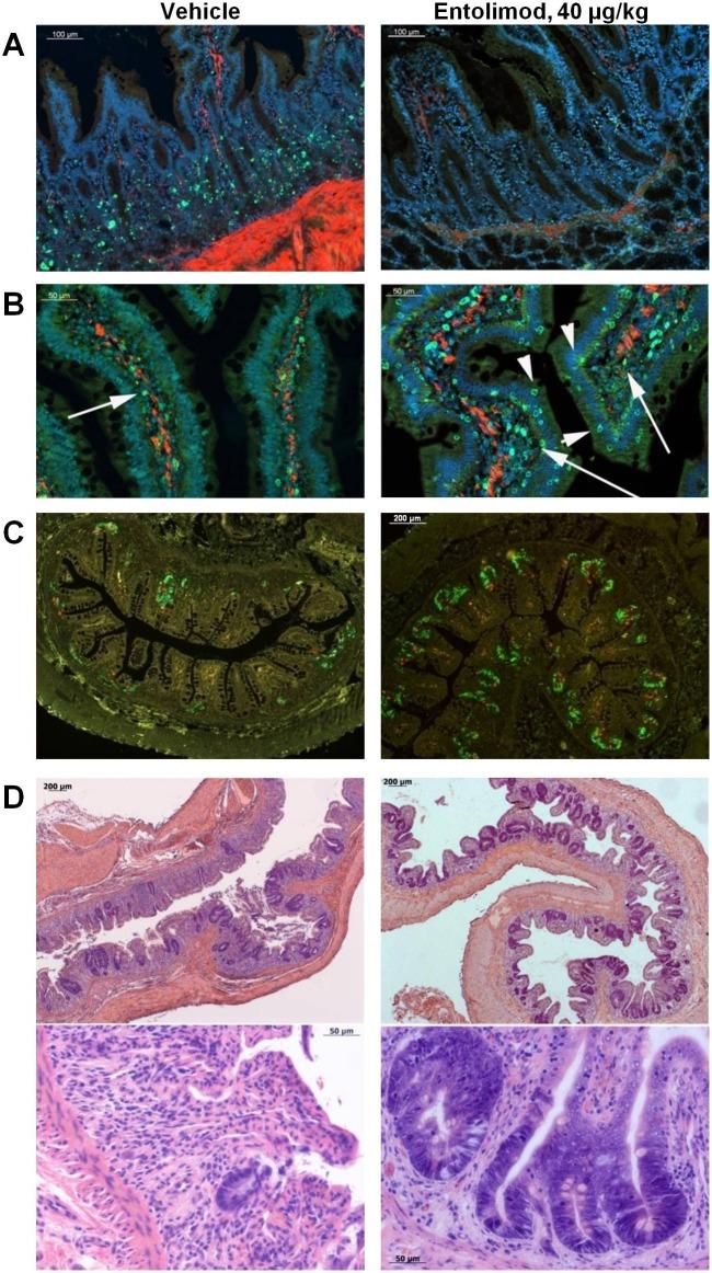 https://cdn.ncbi.nlm.nih.gov/pmc/blobs/0fad/4569586/f04654a45ce9/pone.0135388.g004.jpg