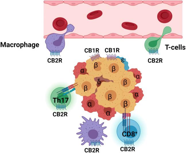 https://cdn.ncbi.nlm.nih.gov/pmc/blobs/0fad/8804091/53c7674e7c52/fphar-12-809965-g003.jpg