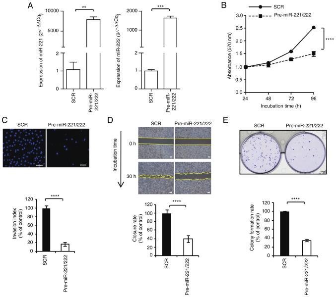 https://cdn.ncbi.nlm.nih.gov/pmc/blobs/0fb1/9947582/2a0976806b74/etm-25-03-11826-g01.jpg
