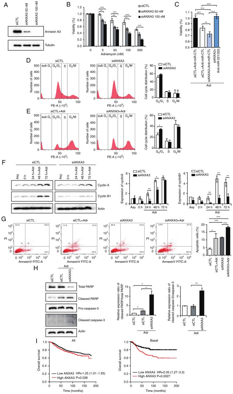 https://cdn.ncbi.nlm.nih.gov/pmc/blobs/0fb1/9947582/e880b40e3118/etm-25-03-11826-g05.jpg