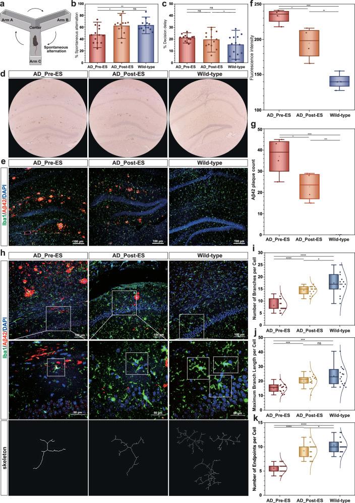 https://cdn.ncbi.nlm.nih.gov/pmc/blobs/0fb4/12217251/b97e14152f5f/41467_2025_60903_Fig6_HTML.jpg