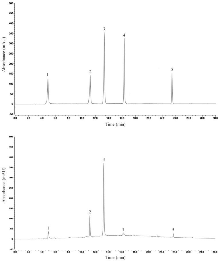 https://cdn.ncbi.nlm.nih.gov/pmc/blobs/0fb4/9523085/e5d8f0648383/fcvm-09-1005306-g0007.jpg