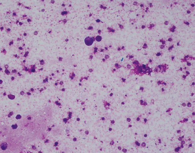 https://cdn.ncbi.nlm.nih.gov/pmc/blobs/0fb5/5945759/3a638d646d35/266_2017_1064_Fig4_HTML.jpg