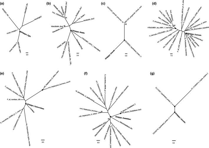https://cdn.ncbi.nlm.nih.gov/pmc/blobs/0fb6/6476756/3528976aa7c1/ECE3-9-4706-g007.jpg
