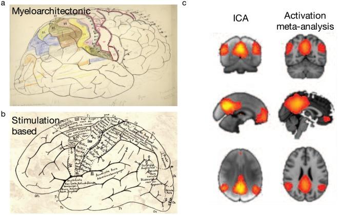 https://cdn.ncbi.nlm.nih.gov/pmc/blobs/0fb7/7079335/5ee5145cd08e/10.1177_1073858419860115-fig3.jpg