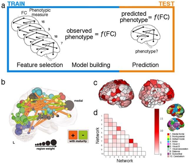 https://cdn.ncbi.nlm.nih.gov/pmc/blobs/0fb7/7079335/858fc241629d/10.1177_1073858419860115-fig8.jpg