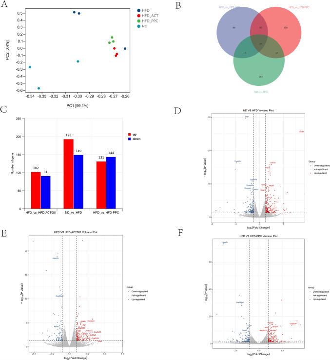 https://cdn.ncbi.nlm.nih.gov/pmc/blobs/0fb9/11992053/78a03f7b31cd/41598_2025_97312_Fig6_HTML.jpg