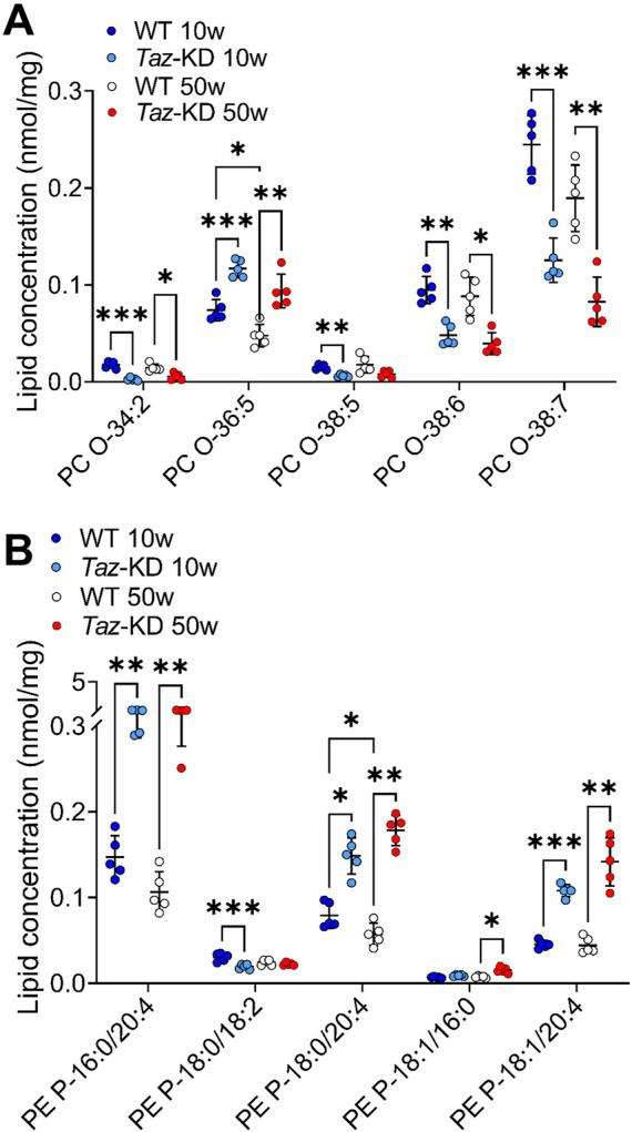 https://cdn.ncbi.nlm.nih.gov/pmc/blobs/0fba/11285559/18a4e71d2d38/fmmed-04-1389456-g005.jpg
