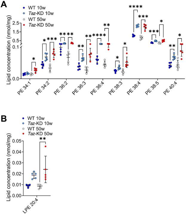 https://cdn.ncbi.nlm.nih.gov/pmc/blobs/0fba/11285559/1a48a71f6efa/fmmed-04-1389456-g003.jpg