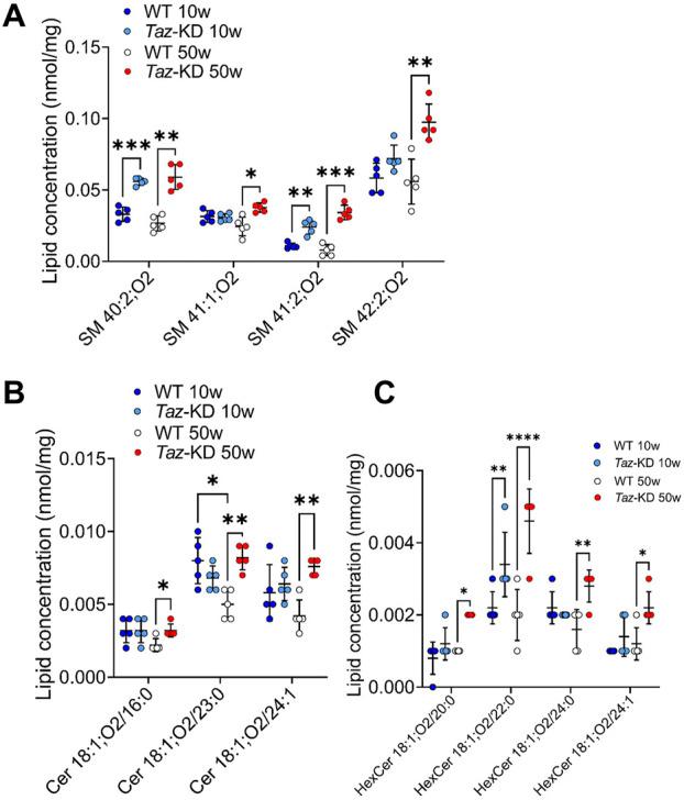 https://cdn.ncbi.nlm.nih.gov/pmc/blobs/0fba/11285559/70628c1711f8/fmmed-04-1389456-g006.jpg